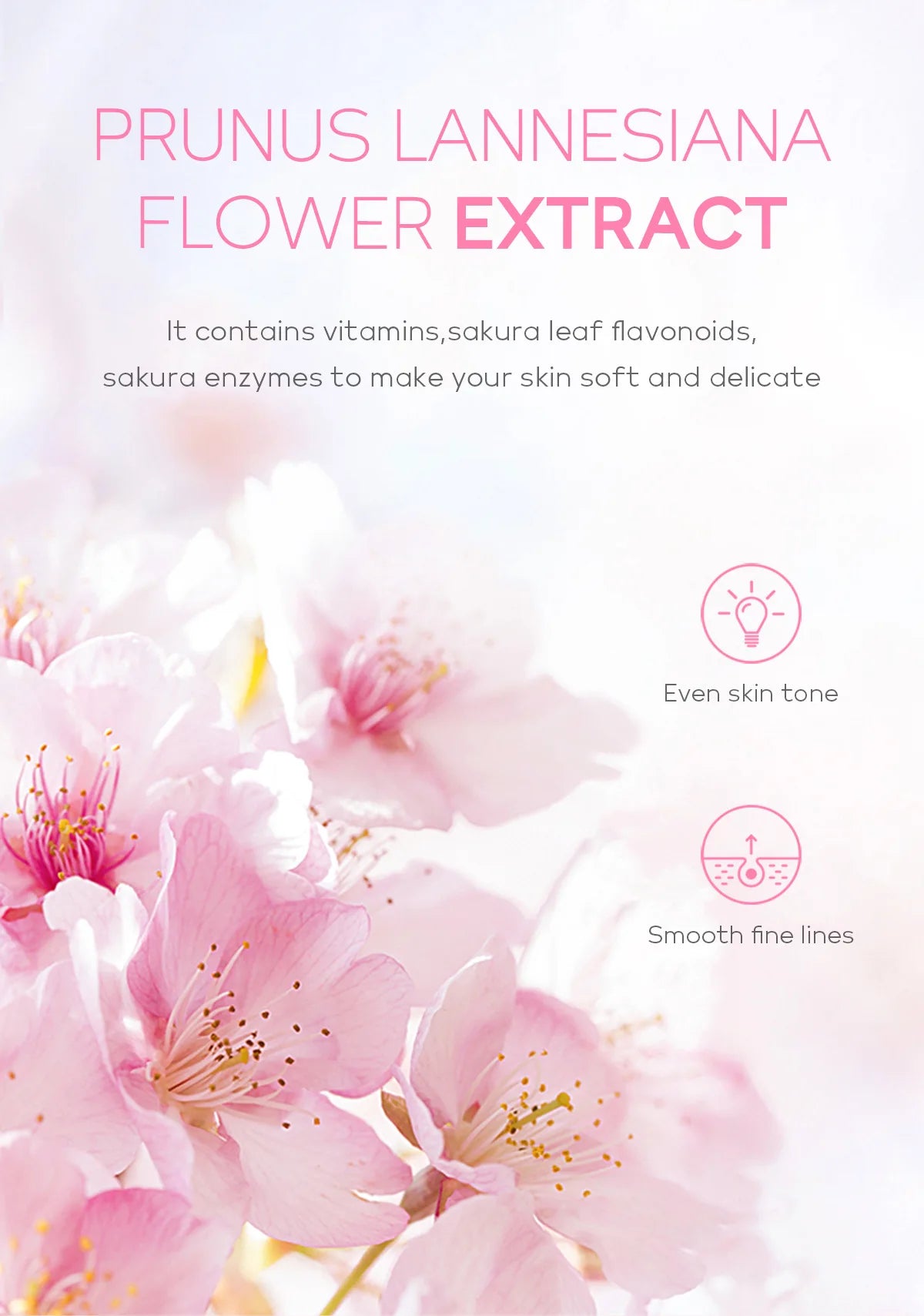 Cherry Blossom - Peeling Facial Gel (60g)🌸✨