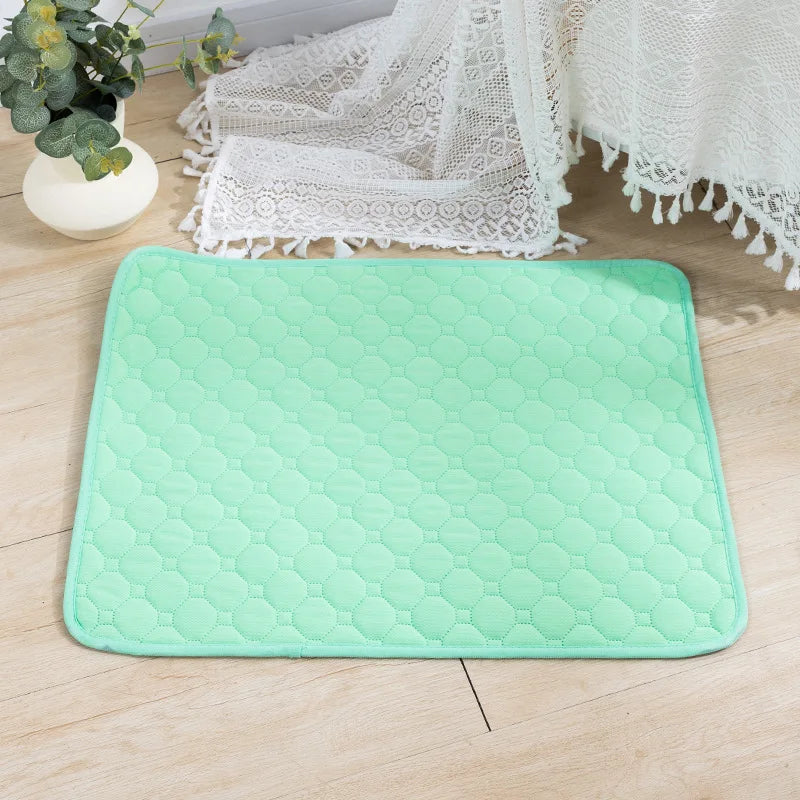 Reusable Dog Pee Pad – Washable Absorbent Puppy Training Mat✨