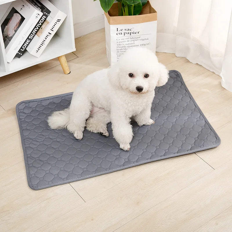 Reusable Dog Pee Pad – Washable Absorbent Puppy Training Mat✨