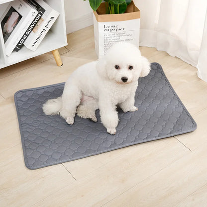 Reusable Dog Pee Pad – Washable Absorbent Puppy Training Mat✨