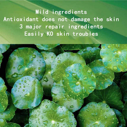 Centella Collagen Sleeping Mask – Korean Firming & Moisturizing Care✨