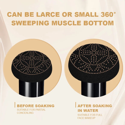 Ocheal Air Cushion BB Cream Compact – Full Coverage Foundation & Concealer with Mushroom Puff Applicator✨