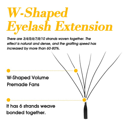 Premium Mink W – Shape Lash Extensions – 3D–6D Volume, 12✨